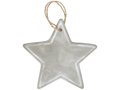 Seasonal star ornament