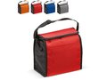 Cooler bag small