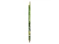Evolution Digital Ecolutions Eraser