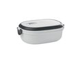 PP lunch box with air tight lid 20 x 14 x 6,5 cm