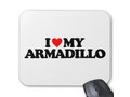 Armadillo Mat 4