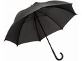 Balmain Umbrella 3