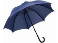 Balmain Umbrella 6