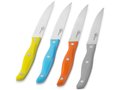 Tint steak knife set 2