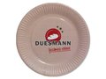 Paper dish plates 4
