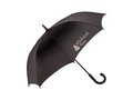 Carbon fiber Umbrella 2