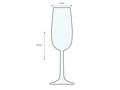 Champagne Flute 1