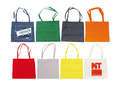 Shopping Bag Non Woven Promo 9