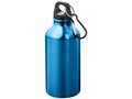 Drinking Bottle With Karabiner 11