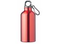 Drinking Bottle With Karabiner 5