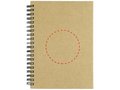 Mendel notebook 3