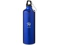 Pacific bottle with carabiner 5