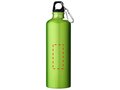 Pacific bottle with carabiner 12