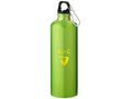 Pacific bottle with carabiner 8