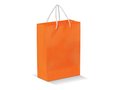 Paper Bag Large 5