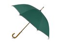 Automatic silver stripe umbrella 2