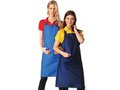 Apron 13 colours 1