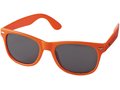 Sun ray sunglasses 3