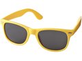 Sun ray sunglasses 7