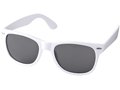 Sun ray sunglasses 10