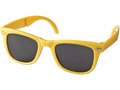 Foldable Sun Ray sunglasses 12