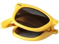 Foldable Sun Ray sunglasses 13