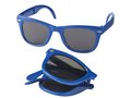 Foldable Sun Ray sunglasses
