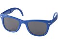 Foldable Sun Ray sunglasses 4