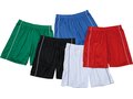 Basic Team Shorts 1