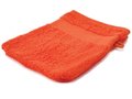 Washcloth 5