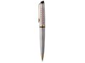 Waterman Expert 11