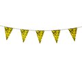 Pennants / bunting