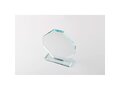 Crystal award 5