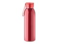 Stainless steel bottle 650ml 13