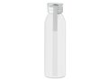 Stainless steel bottle 650ml 22