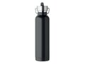 Double wall bottle 660 ml 1