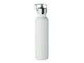 Double wall bottle 660 ml 7