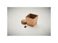 Mint seeds growing kit 7