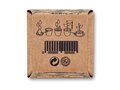 Mint seeds growing kit 1