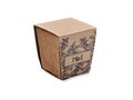 Mint seeds growing kit 2