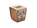 Mint seeds growing kit 6
