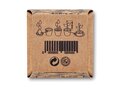 Sunflower growing kit 6