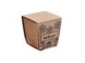 Sunflower growing kit 7