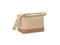 600D RPET cooler bag 5