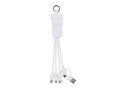 2 in 1 charging cable type-C