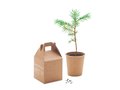 Pine tree set 4