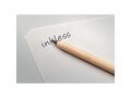 Long lasting inkless pen 2