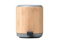 5.0 wireless bamboo speaker 5