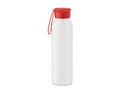 Aluminium bottle 600ml 11