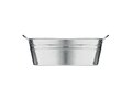 Zinc tub with 3 herbs seeds 2